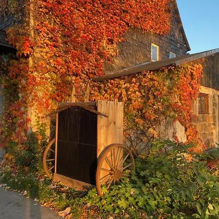 Stall & Sterne - Tiny Haeuser Holiday home Hirschfeld (Zwickau)