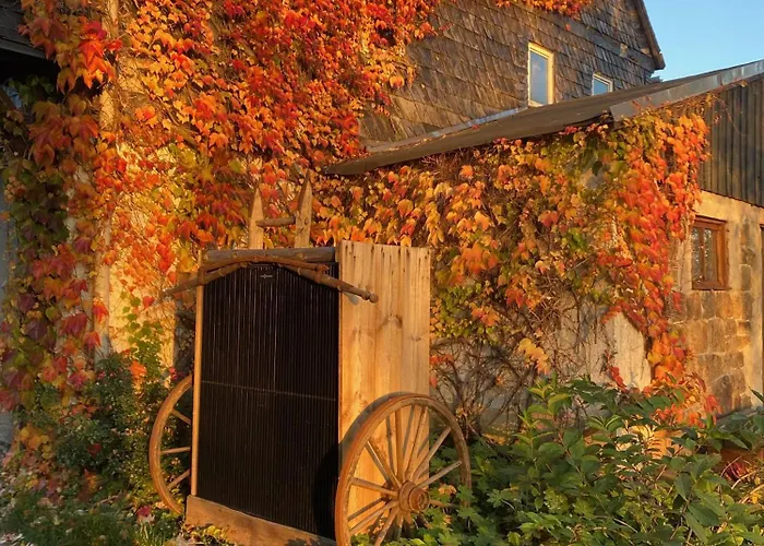 Stall & Sterne - Tiny Haeuser Holiday home Hirschfeld (Zwickau)
