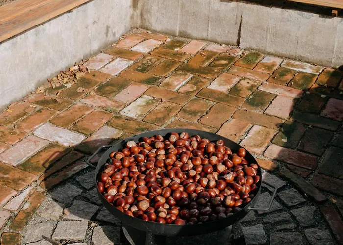 Stall & Sterne - Tiny Haeuser Hirschfeld (Zwickau)